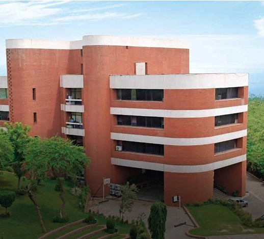 SP Jain School of Global Management